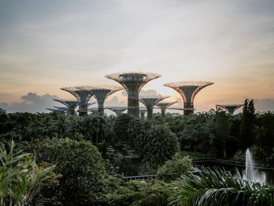 sunrise at gardens by the bay in Singapore