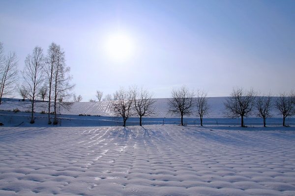 Hokkaido snow