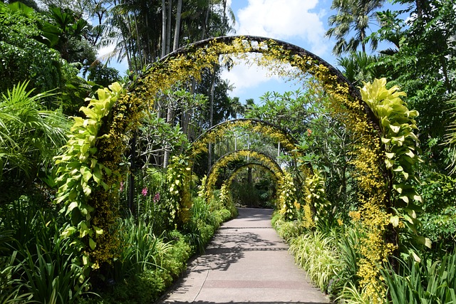 Singapore Botanic Gardens 
