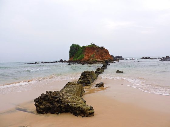 Parrot Rock