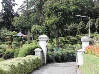 Exploring Hakgala Botanical Garden: A Scenic Journey Through Sri Lanka's Central Highlands