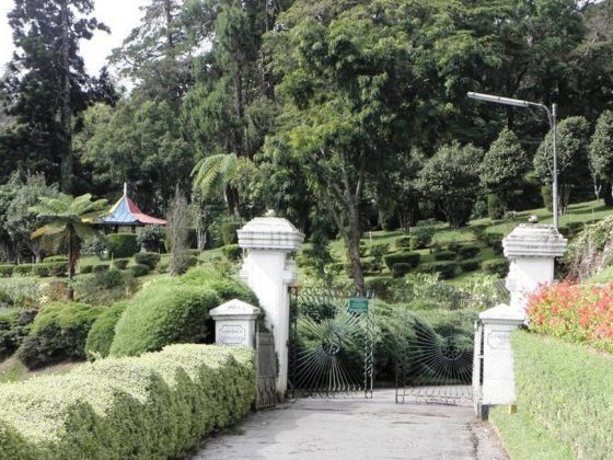 Exploring Hakgala Botanical Garden: A Scenic Journey Through Sri Lanka's Central Highlands