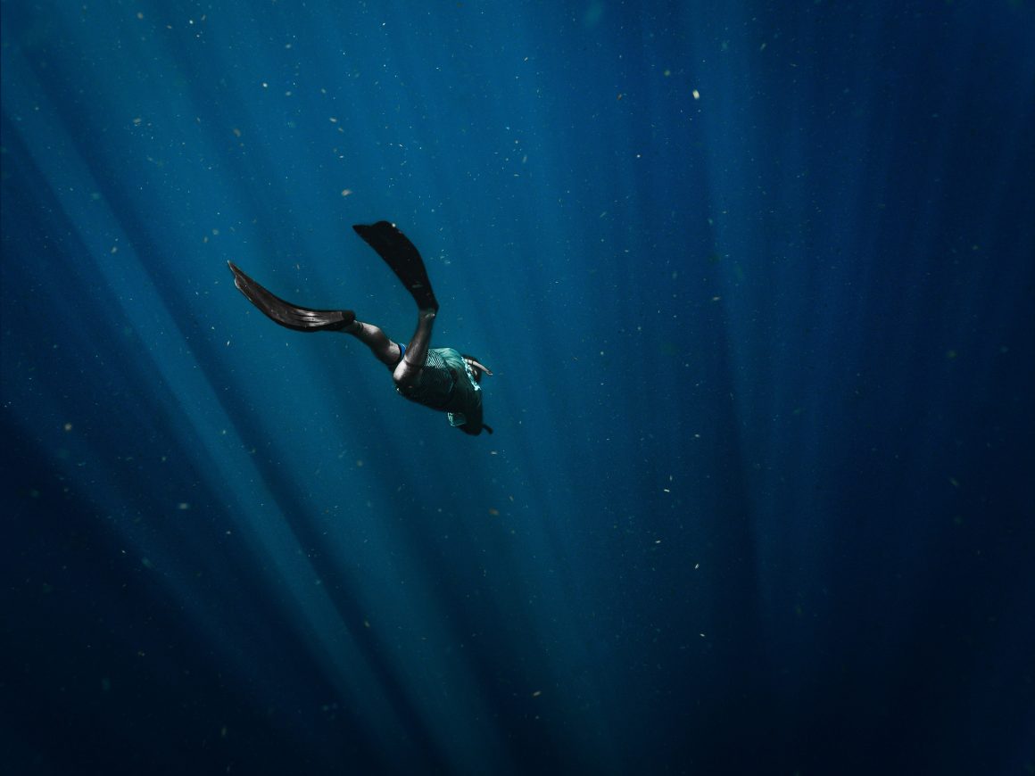 Exploring the Maldives After Dark: A Guide to Night Snorkeling and Nocturnal Marine Life