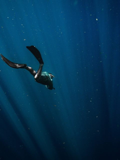 Exploring the Maldives After Dark: A Guide to Night Snorkeling and Nocturnal Marine Life