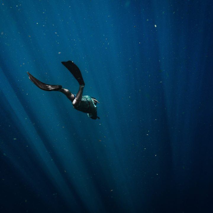 Exploring the Maldives After Dark: A Guide to Night Snorkeling and Nocturnal Marine Life